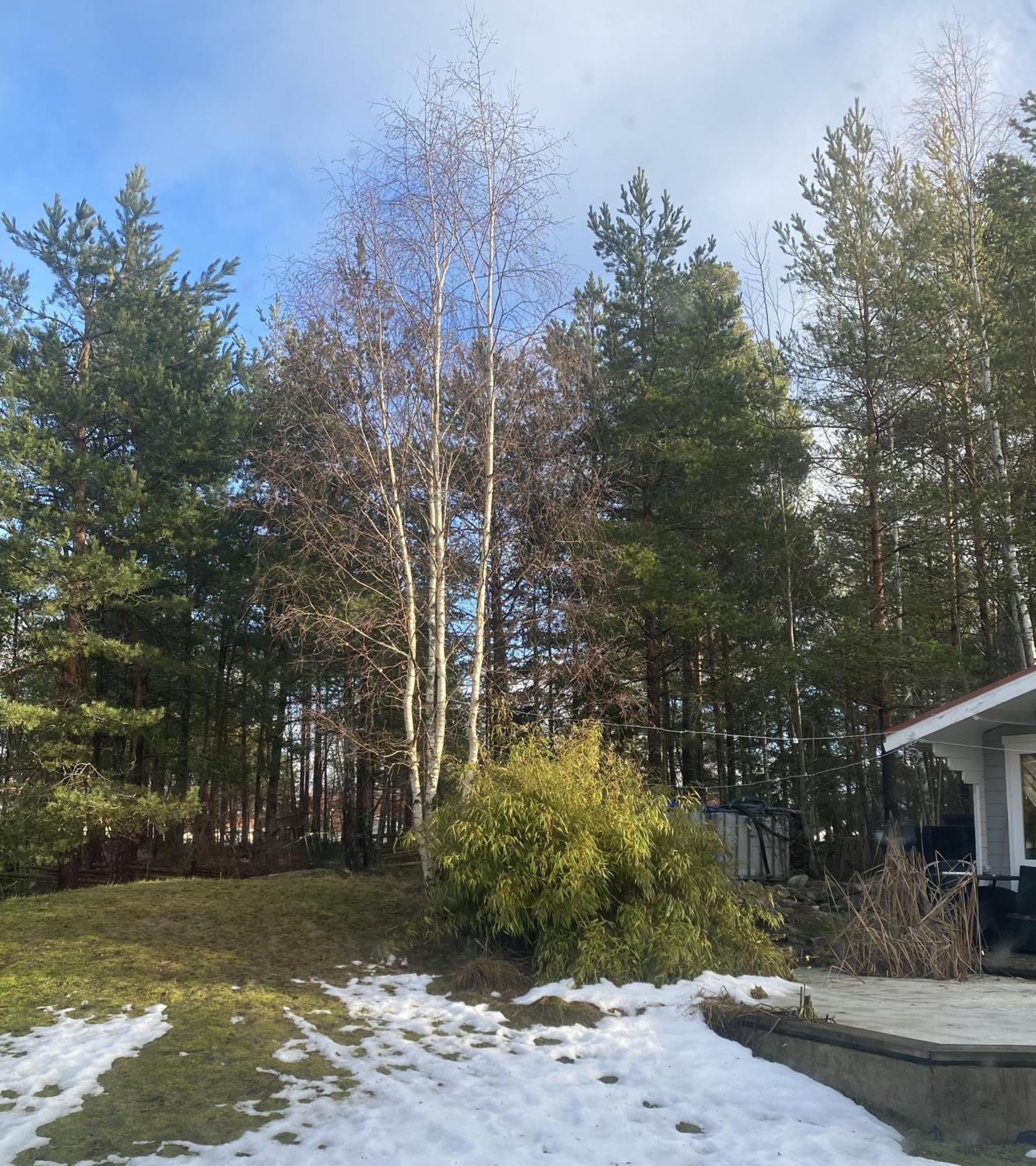 Villa In Svalsaeter, Kallfors, Jaerna, South Of Stockholm, Near Golf, Ytterjaerna Cultural House & The Baltic Sea Beach Jarna (Stockholm) Luaran gambar